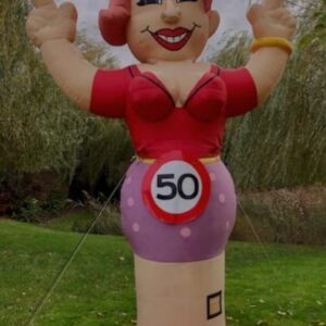Sarah feestend  € 40,00